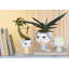 Eva Ceramic Planter