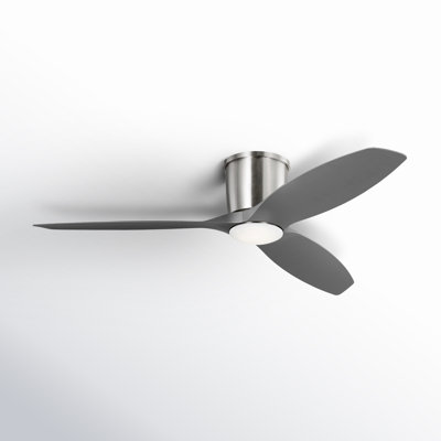 Ventilateur de plafond avec lumières DEL Aisling
