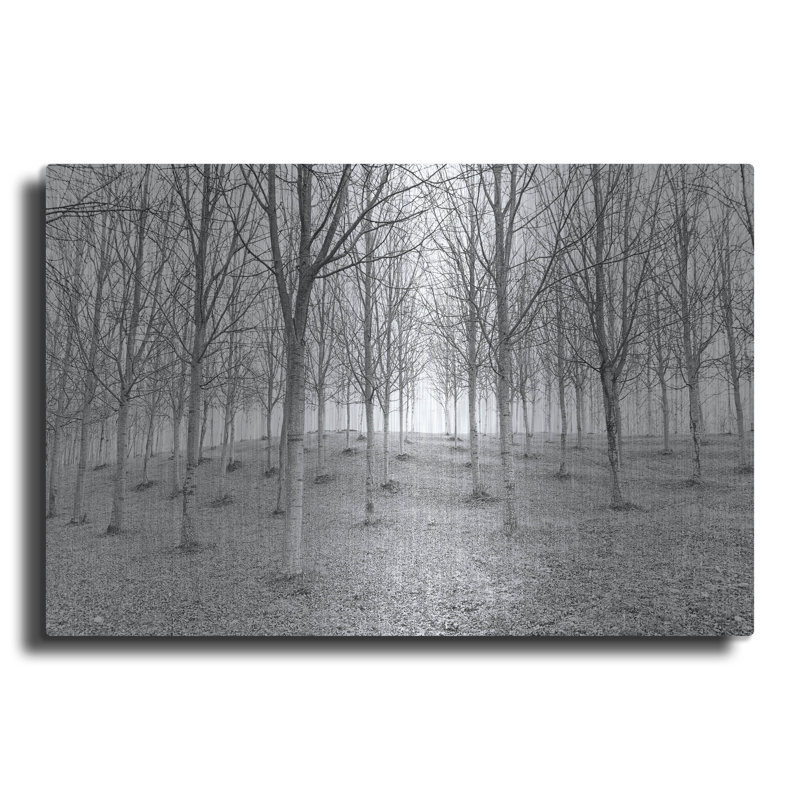 «Nature Reorganized» par IMB, H 16 po x l 24 po