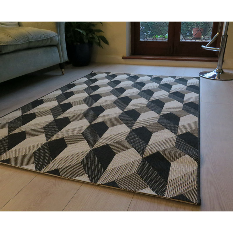 Gunter Geometric Hand Woven 120cm X 170cm Indoor / Outdoor Area Rug