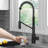 Oletto 2-in-1 Pull-Down Single Handle Kitchen Faucet-79074720