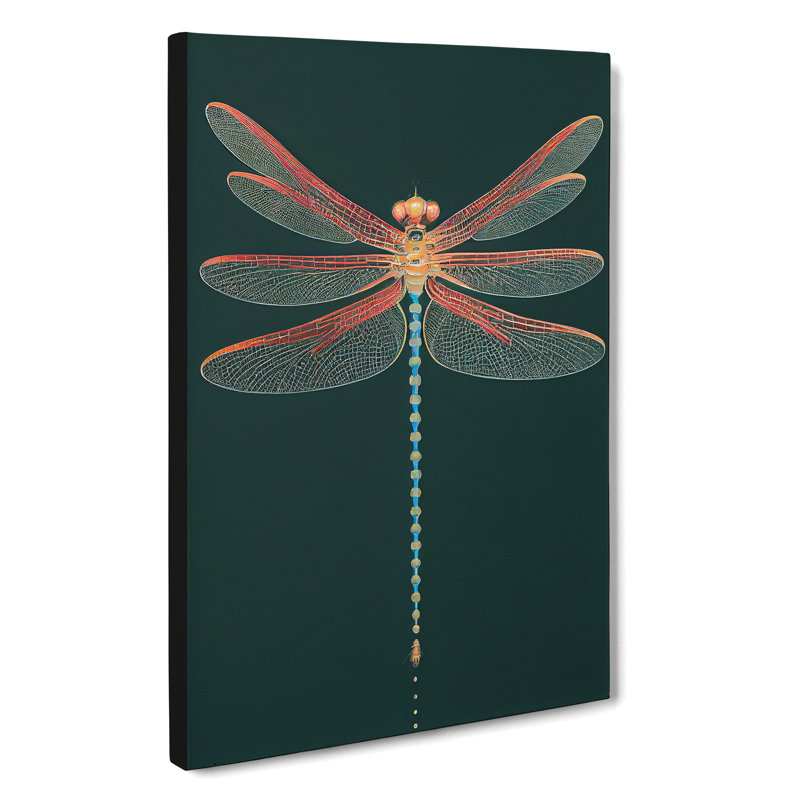 Gentle Dragonfly - Wrapped Canvas, 50cm H x 35cm W x 3cm D