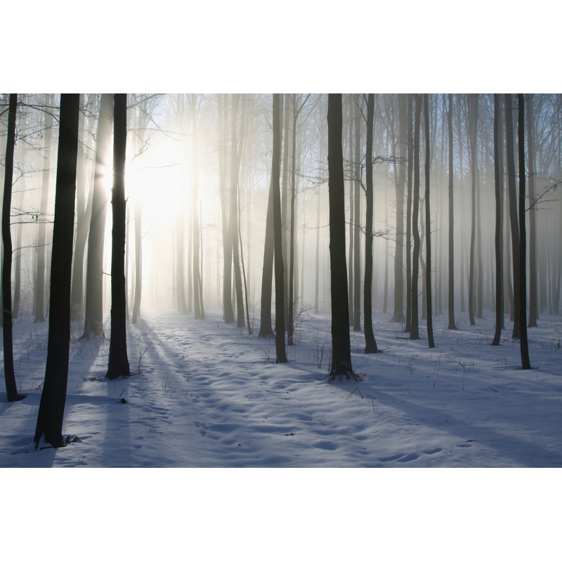 Path In Winter Forest by Aniszewski - Wrapped Canvas Print, 20cm H x 30cm W x 3.8cm D