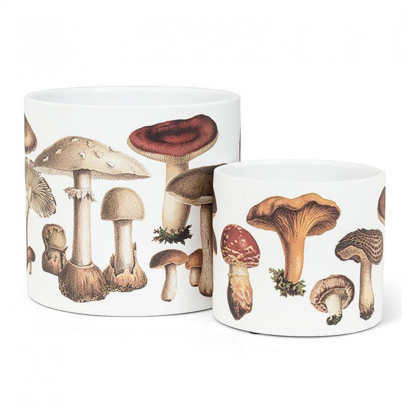 Large Botanical Mushroom Planter, 4" H x 4.5" W x 4.5" D