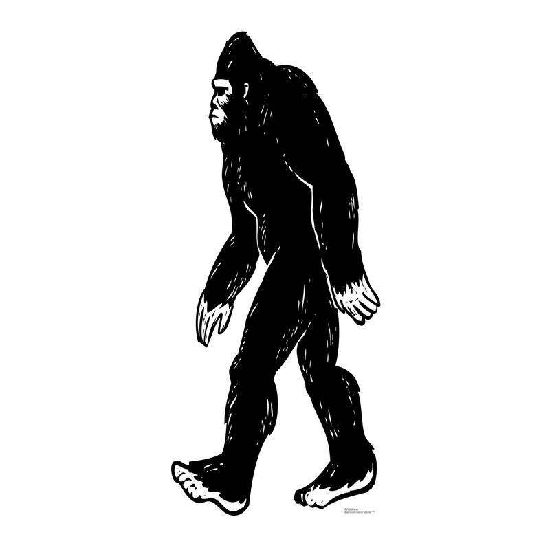 Accroche bigfoot