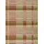 Plaid Area Rug in Brown/Red