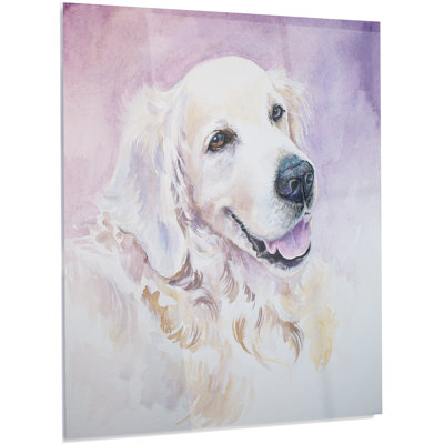 " Funny Golden Retriever "