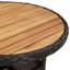 Garden Rattan/Steel/Wooden Dining Table-1082254530-1082254542