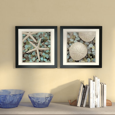 Aquatic  - set of 2  by Alan Blaustein Framed Wall Art Prints