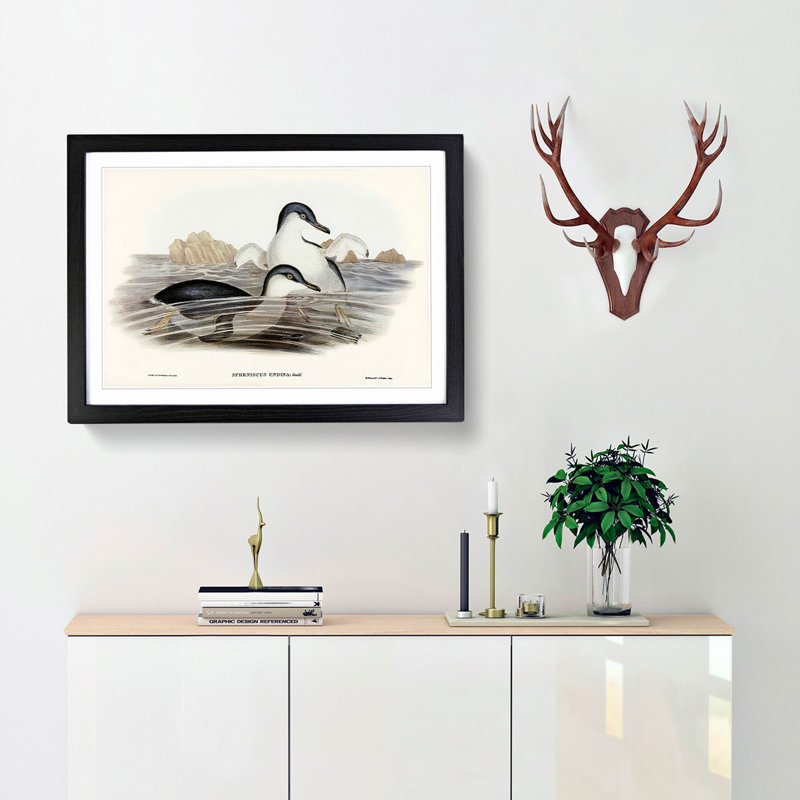 Little Blue Penguins by Elizabeth Gould - Picture Frame Painting Print, 27cm H x 36cm W x 2cm D, Black Framed