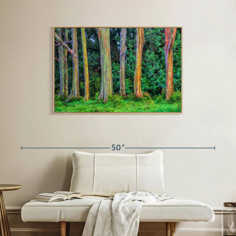 Eucalyptus arc-en-ciel, Cadre flottant en bois naturel, 40 po x 27 po