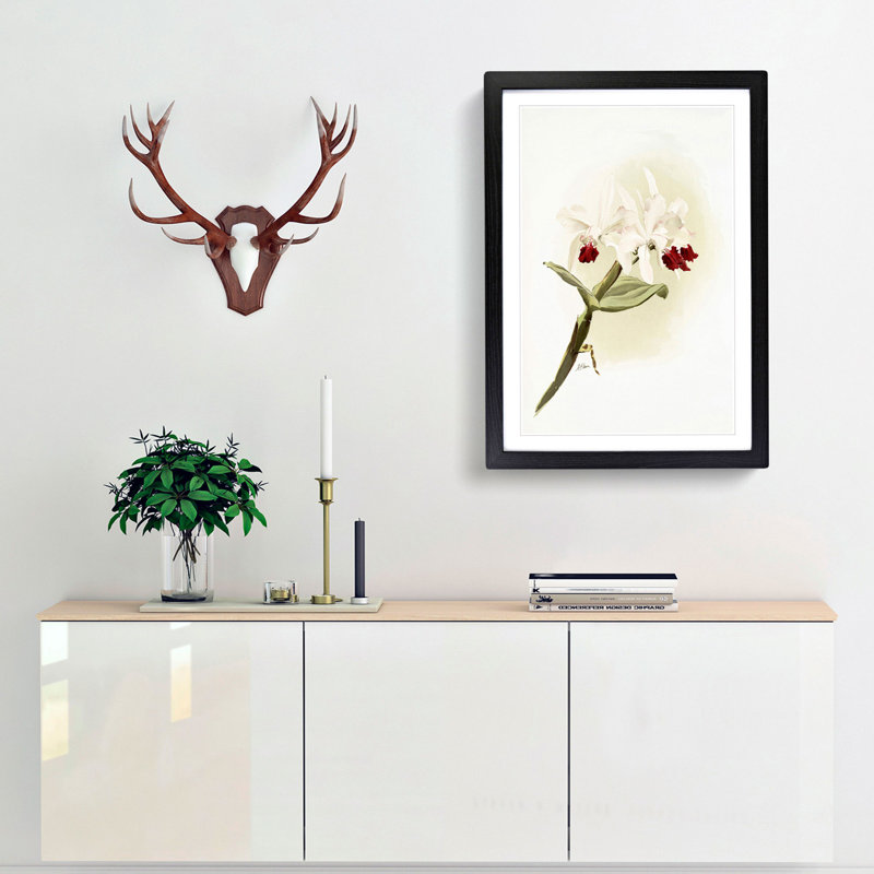 Magnolia Flowers Illustration Tab. 62 by Frederick Sander - Picture Frame Painting Print, 91cm H x 60cm W x 2cm D, Black