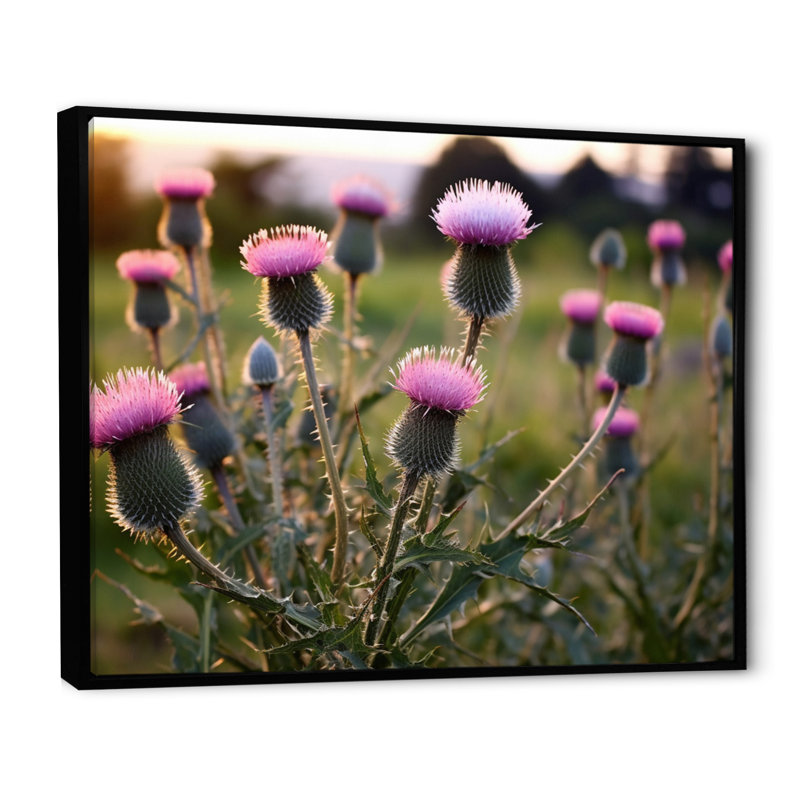 «Purple Green Thistle Whispers Plant I», reproduction sur toile, H 30 po x l 40 po x P 1,5 po, Cadre flottant noir