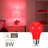 9 Watt, A19 LED, Non-Dimmable Light Bulb, E26/Medium (Standard) Base