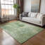 Tapis intérieur / extérieur lavable à la machine Bernadette ACN2226-114556304