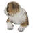 Lying Bulldog Pup