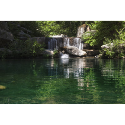 Paradise in Forest