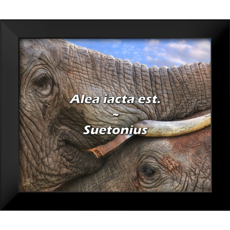 Suetonius Quote: Alea iacta est.