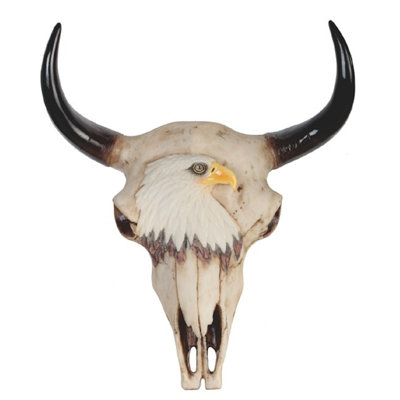 Crâne Buffalo Springdale