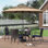 Ensemble de salle à manger de patio 6 pièces, 4 fauteuils en rotin et table carrée avec parasol