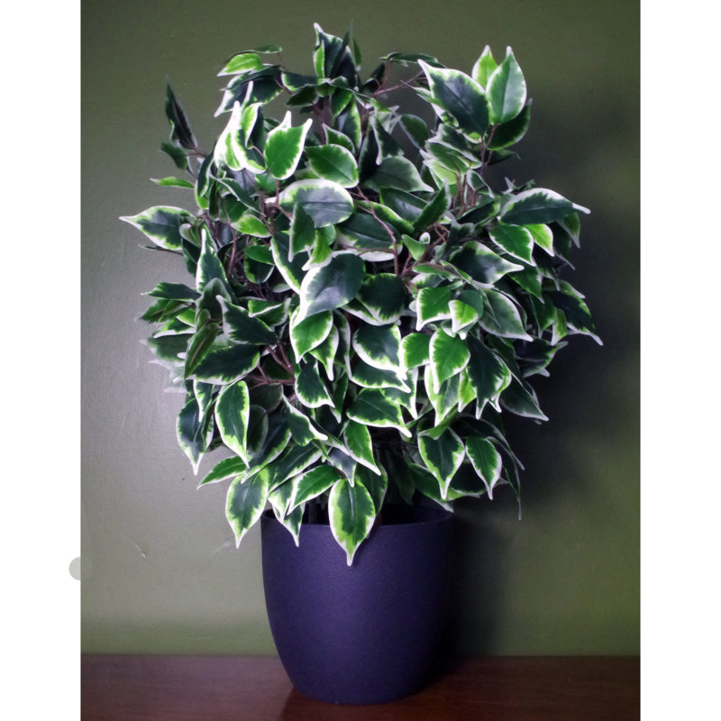 Anjeli 60cm Faux Foliage Plant in Pot