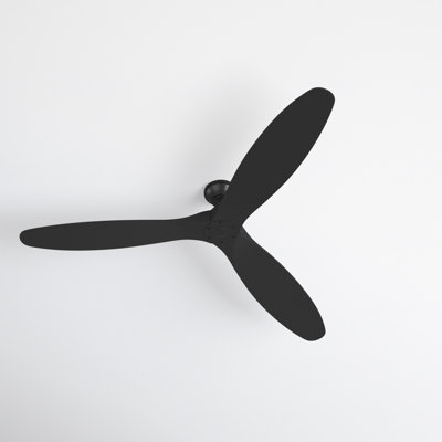 Obsidian Ceiling Fan