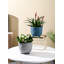Jardinières 6 po Winda - Gris clair mat-126527264