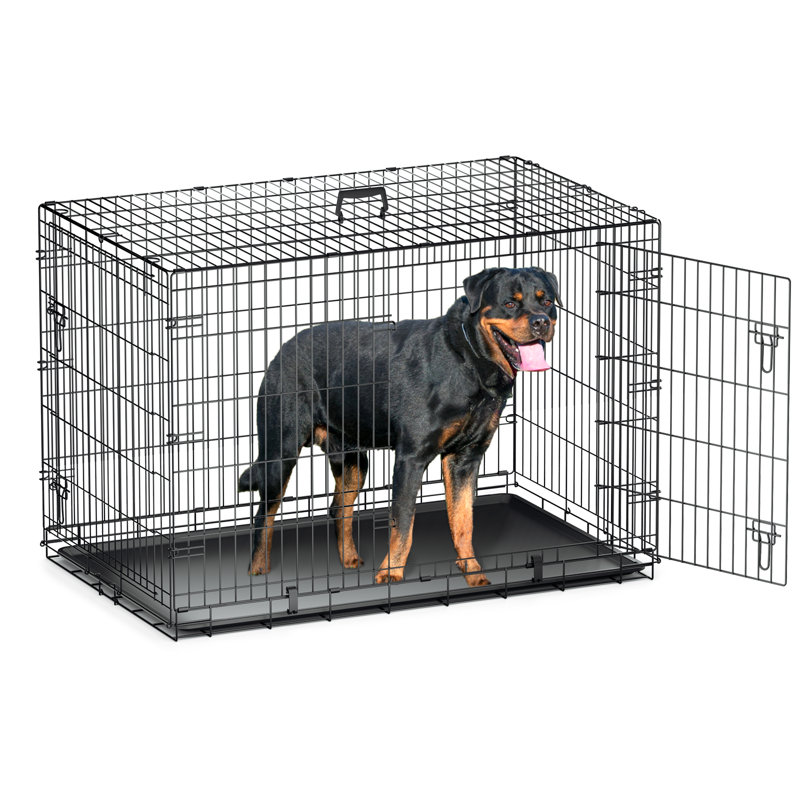 Cage pliante en métal pour chien, Très grand (H 33,5 po x l 48 po x P 30 po)