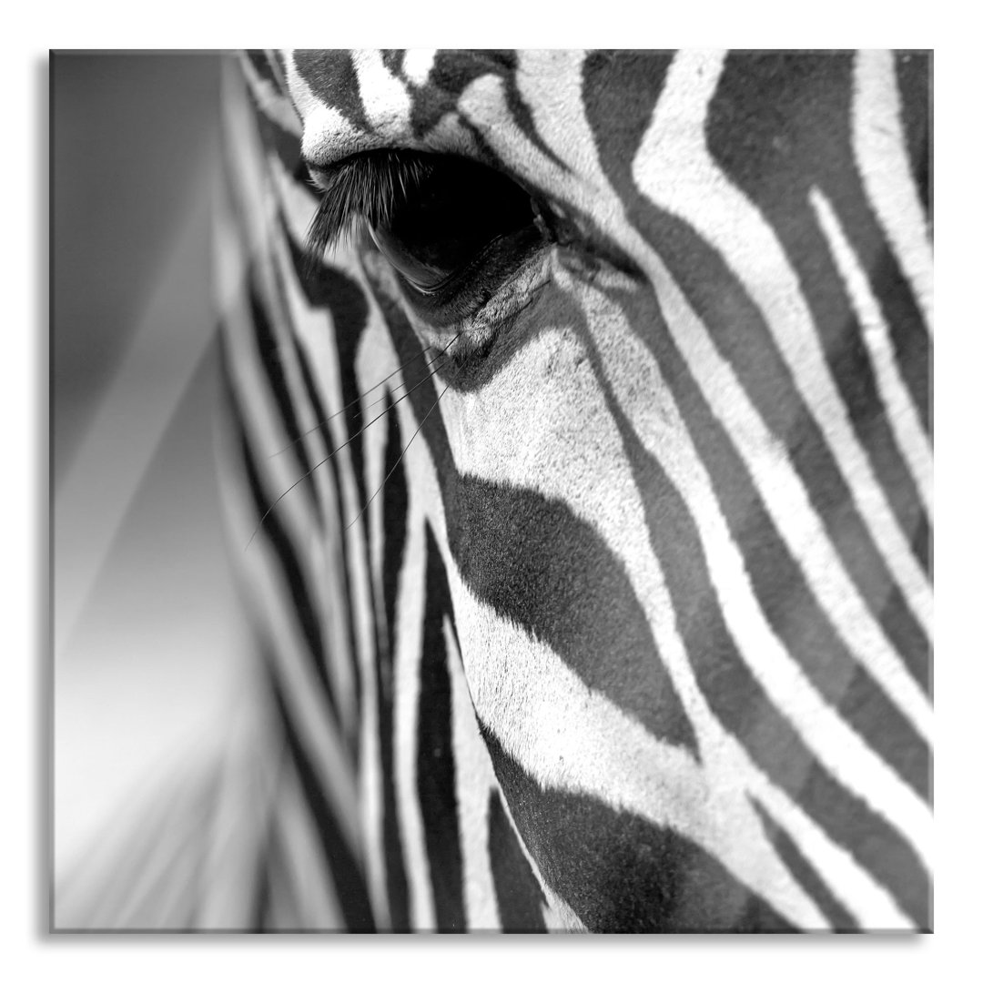 Glasbild Zebra Porträt