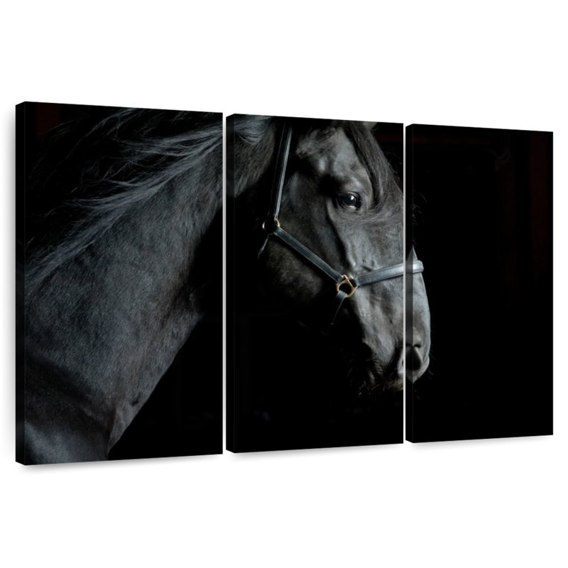 Horse Head, 28" H x 45" W