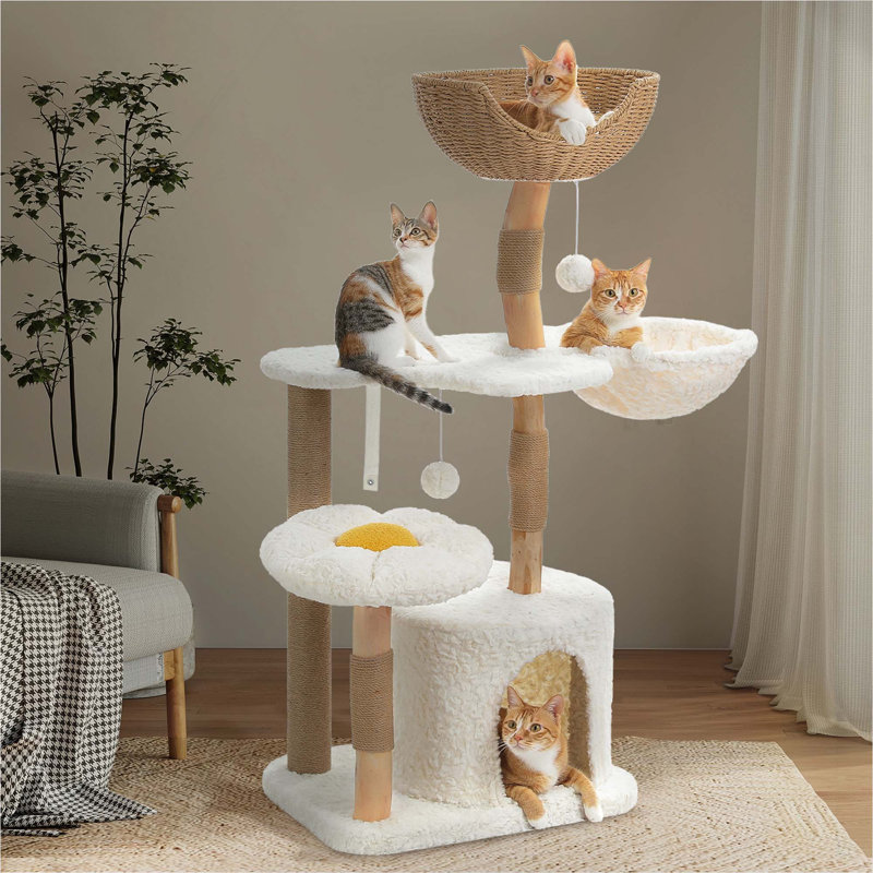 Arbre à chat en bois massif pour chat d'intérieur avec hamac en rotin et tour de chat perchée