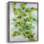 Ivy, reproduction encadrée - bois massif-716976027