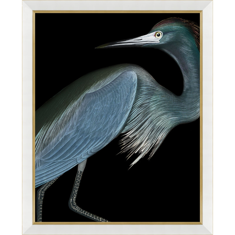 «Solarized Audubon Birds - Simple Photo Frame», impression