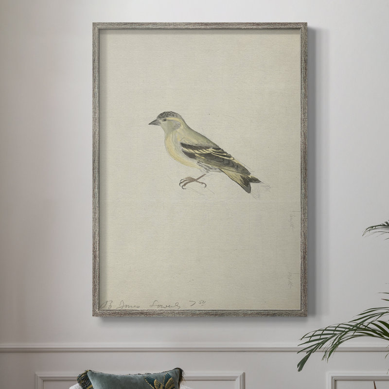 «Ximal Vintage Print», reproduction encadrée en bois massif, H 11 po x l 9 po