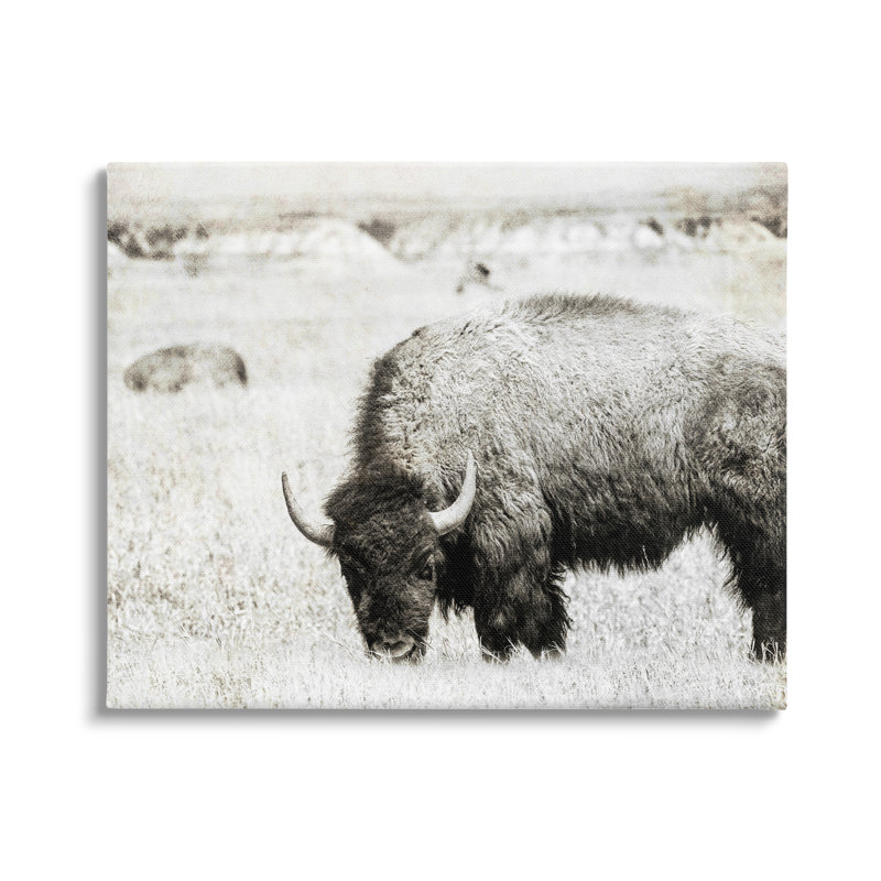 «Bullland Country Farming Country» par Daniel Sproul, L 20 po x H 16 po, Toile tendue