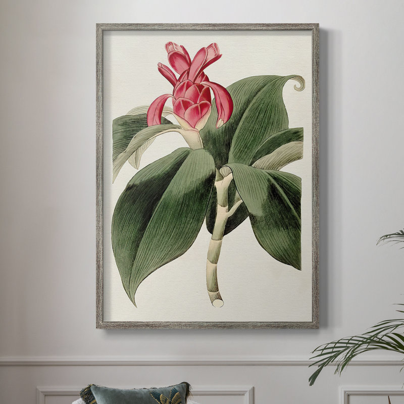 FloraOf TheTropicsI, reproduction encadrée - bois massif, H 11 po x l 9 po