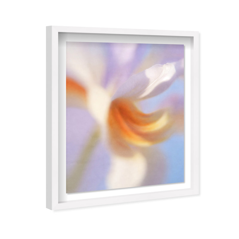 Blurred Venus II Print by Oliver Gal, 17.5"H x 21.5"W, White Shadowbox