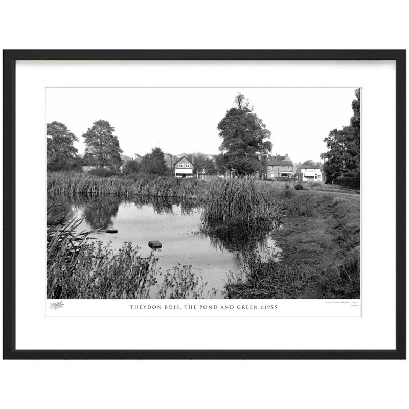 Theydon Bois, The Pond And Green C1955 by Francis Frith - Single Picture Frame Print, 45cm H x 60cm W x 2.3cm D