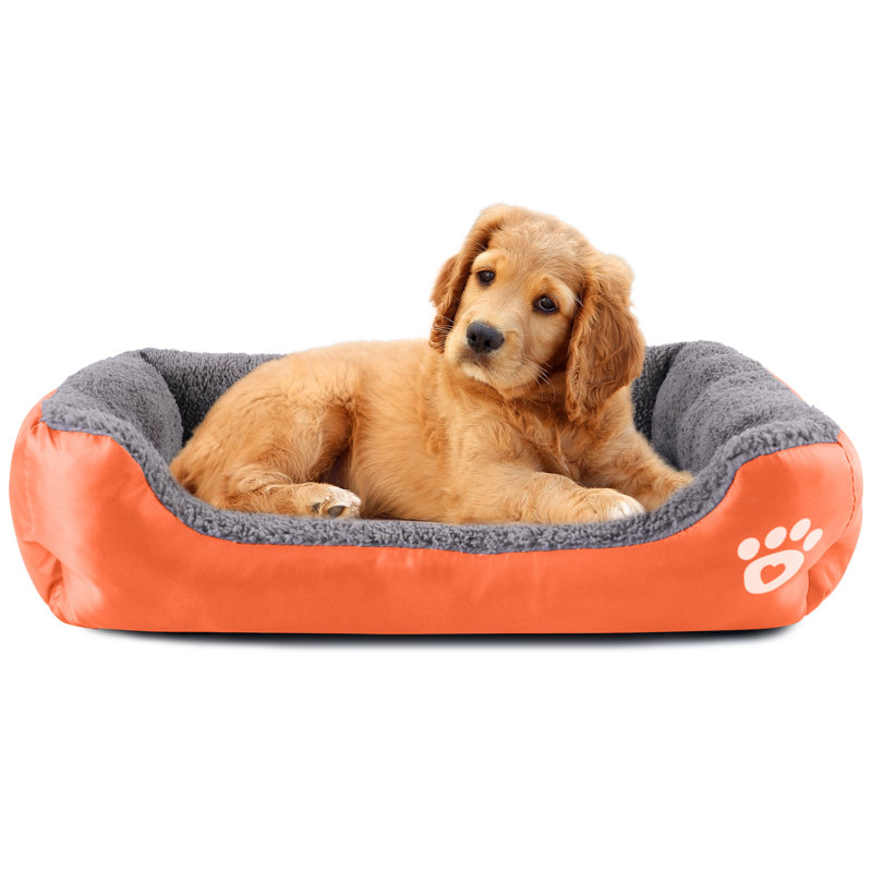 Lit pour chien Goncalves, Grand (l 37,4 po x P 29,5 po x H 5 po), Orange