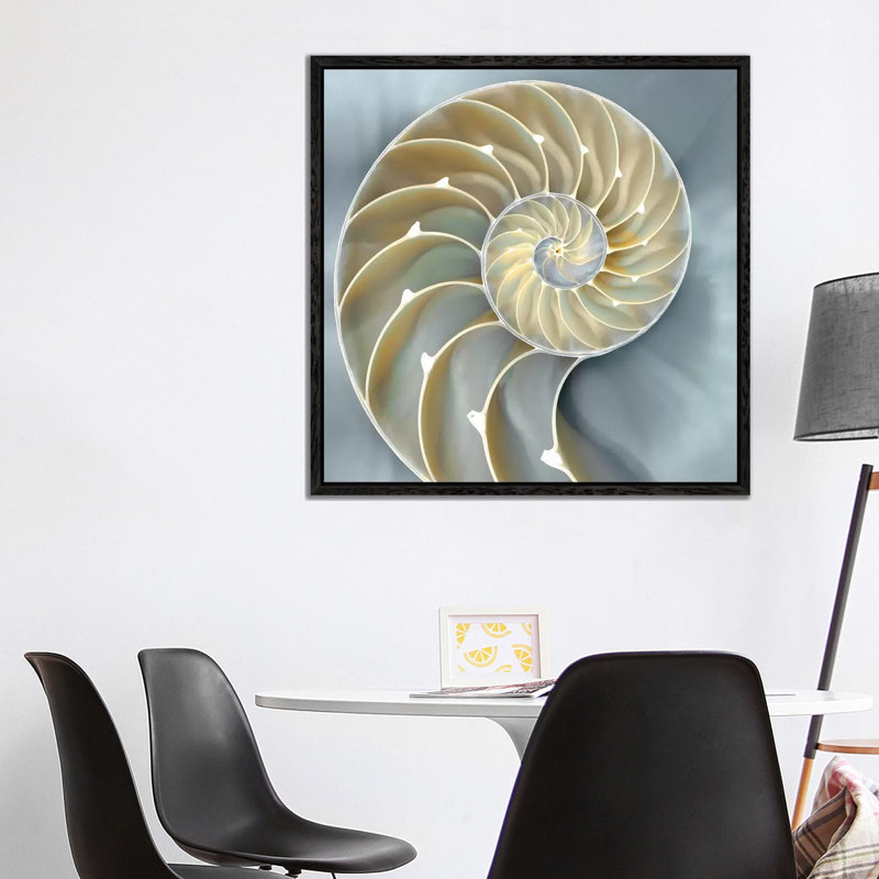 Nautilus In Blue I, Black Framed, 93.98 cm H x 93.98 cm W