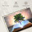 Ashelle livre de l'arbre de la sagesse-107685248