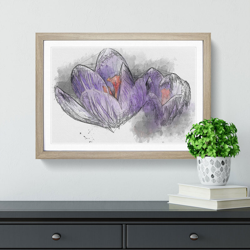 Purple Crocus Flower Sketch - Picture Frame Graphic Art Print, Oak Framed, 45cm H x 63cm W x 2cm D