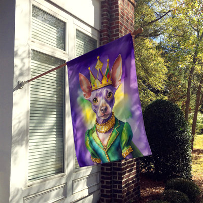 Double Sided 40'' H x 28'' W Polyester Mardi Gras House Flag