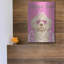 «Doggie Diva» par Debbie Gray-360230888