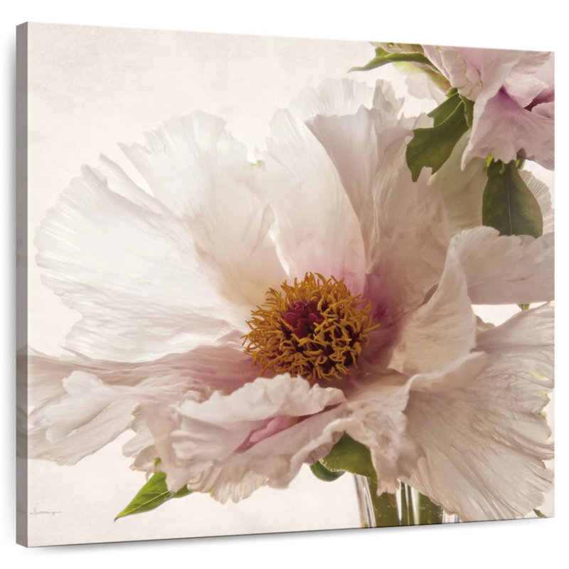 Harnek pivoine translucide V, 24" H x 24" W