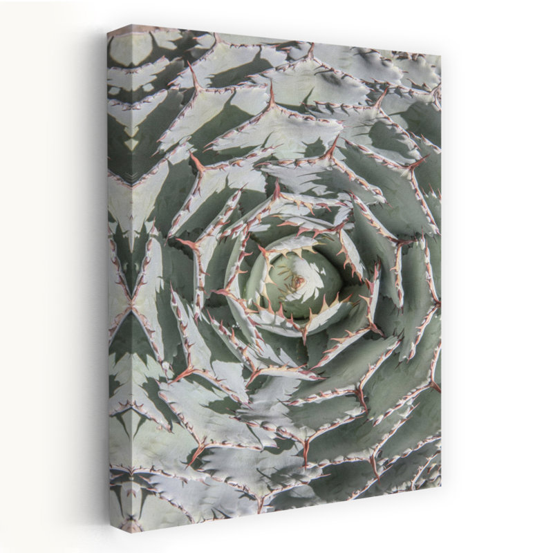 Art contemporain contemporain avec cactus, H 24 po x l 16 po