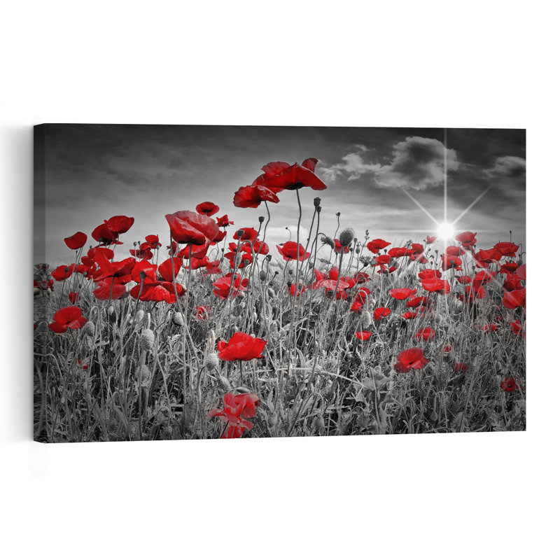 Dramatic Poppy Field Tranquil Abstract Contemporary Poppy Flower Landscape Wall Art Print, 32" H x 48" W