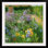 «Yonkers Sweet Rocket, Foxgloves and Irises, 2000» par Timothy Easton, reproduction d'art