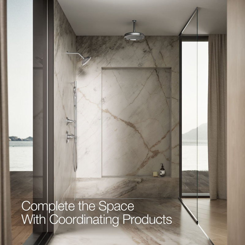 Artifacts Full/Standard Handheld Shower Head with Katalyst Air Induction Spray, Polished Chrome