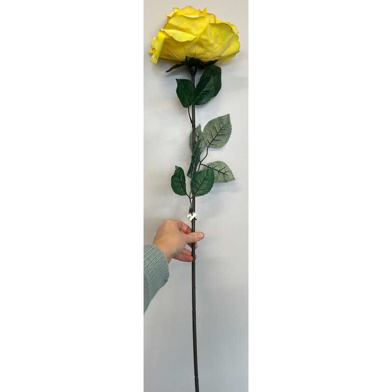 Jets de roses